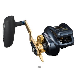 _C eBGLJ IC 300H 2023f