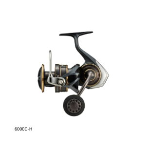 _C 22 JfBA SW 6000D-H