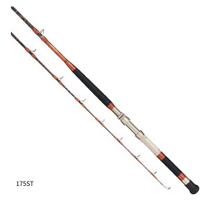 At@^bN OX #175ST ^C 2024NVi