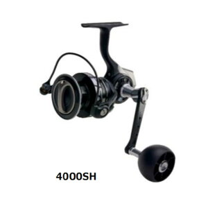 Au KVA ROXANI LT[ SP 4000SH 2024NVi