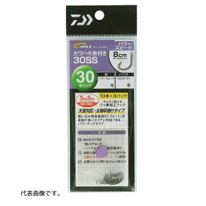 _C D-MAX JnMt SS p[Xs[h 30{ #6.5