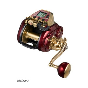 _C 24 V[{[O #G800MJ 2024NVi