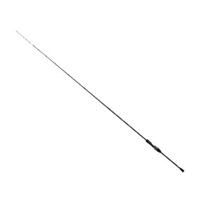 _C 24 ɉsJnM EX VS ^C 2024NVi