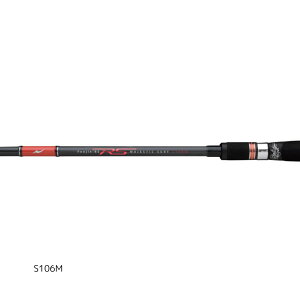 APIAiAsAj t[WRS }WFXeBbNT[t S106M ^C@2024NVi