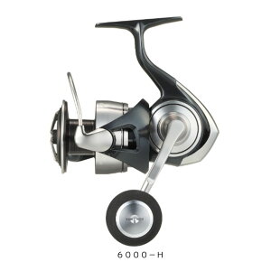 DAIWA(ダイワ) 24 セルテートSW 6000-H 2024年新製品