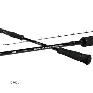 ISSEIiꐽj CY lRVtg VV} C702L ^B