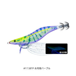 [d GrQ 3 #17.SBTP p[v