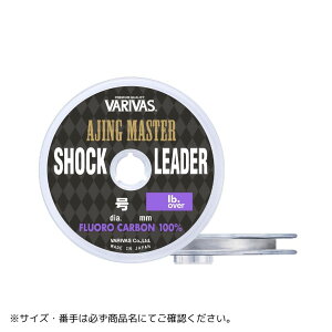 AWO}X^[VbN[_[t 30m 1(4LB) i` VARIVASiooXj