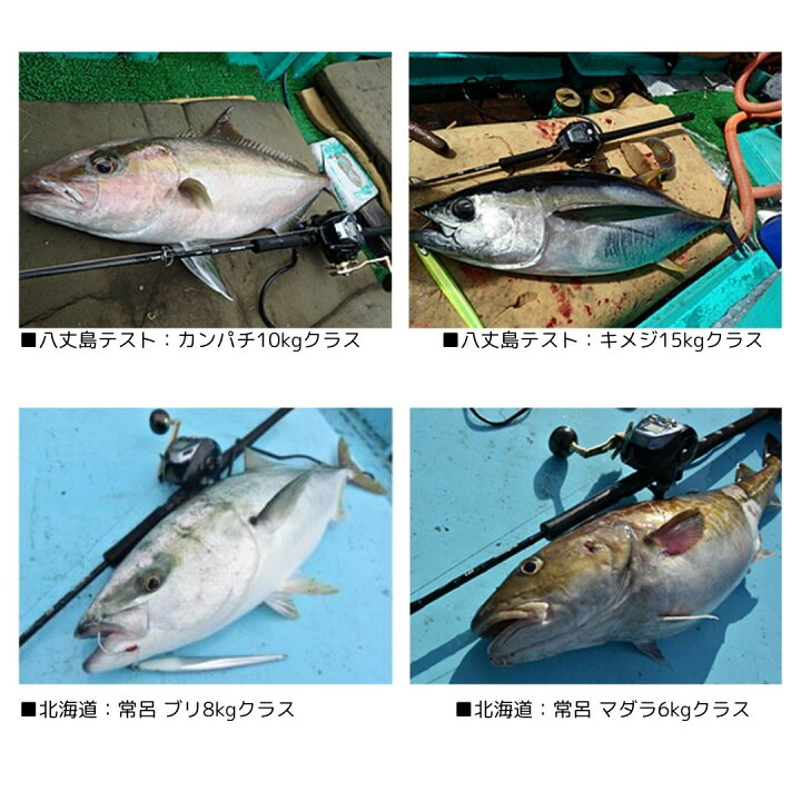 楽天市場】ネオステージ DG（電動ジギングモデル） J60B-4 DAIWA 