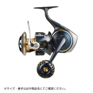 25 \eBKiXsjOj 10000-H DAIWAi_Cj 2025NVi