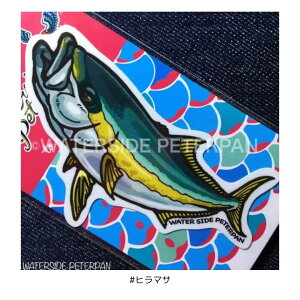 XebJ[ M[ #q}T EH[^[TChs[^[p