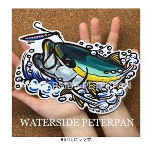 Big XebJ[ #BITEq}T EH[^[TChs[^[p