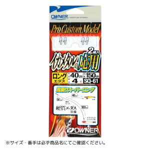 SQ-61 CJ^̉p #_u OWNERiI[i[j