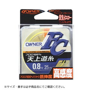 V㓹FC@25m #1 OWNERiI[i[j