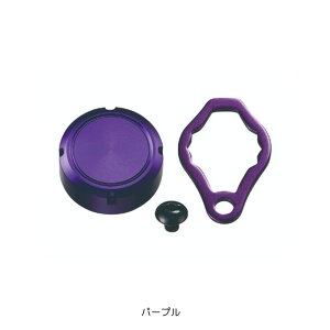 STEEZ ICCWFNVLbv p[v SLP[NX