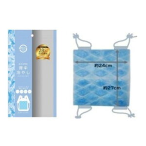 ݂ܐȁ@w₵i24×27cmj DOSHISHAihEVVj