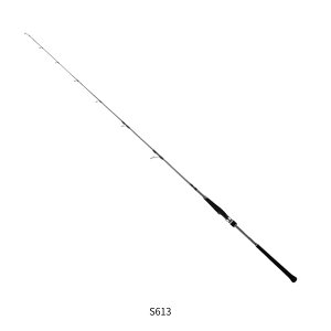 �W�O�t�H�[�X SD S613 tailwalk�i�e�C���E�H�[�N�j ��^��B 2025�N�V���i