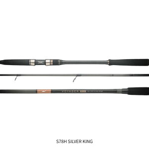 VOYAGER EXIVi{CW[C[GbNXtH[j S78H SILVER KING APIAiAsAj 2025NVi 11 \t