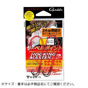 T[x|Cg tbLO}X^[ V[Y t  SS Gamakatsui܂j