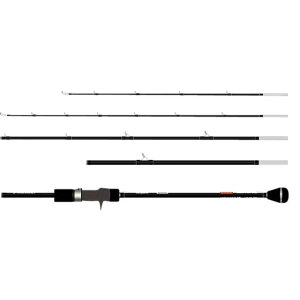 Eta quattro TRANSCENDENCEigXZfXj ^A