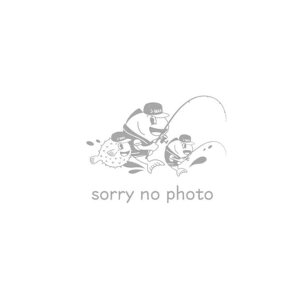 ZuZX AR X^[vbK[ MPB-815-AR G-CRAFTiW[Ntgj ^B 2025NVi 12 \t