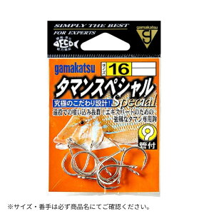 ^}XyV() 24 Gamakatsui܂j