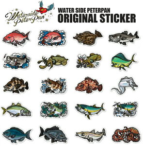 yꕔԌZ[zEH[^[TChs[^[p@\gXebJ[@yނ tBbVO ނXebJ[ XebJ[  N[[{bNX A[P[X p\R X}zP[X 