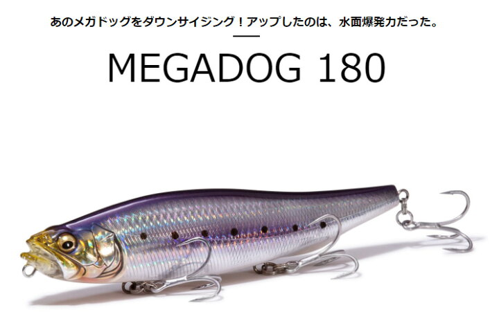 楽天市場 メガバス Megabass メガドッグ 180 フィッシングサンイン