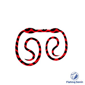 yԌZ[z{(SASALABO)@RuXJ[[@yނ tBbVO ⃉o ^Co lN^C J[[lN^C { RuXJ[[  TT{z