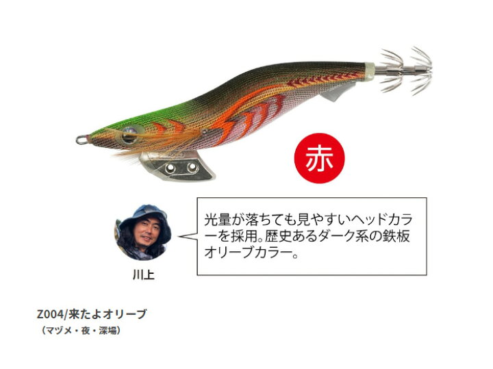 楽天市場】【11/10(日)1等最大100%ポイントバック】【半額以下セール 