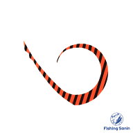 ジャッカル(JACKALL)　ビンビンスイッチT＋ネクタイ マスターカーリー　【釣り フィッシング タイラバ 鯛…