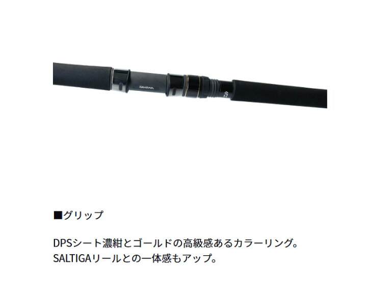 楽天市場】【特価】ダイワ(Daiwa) ソルティガ C 83-6 【釣り 