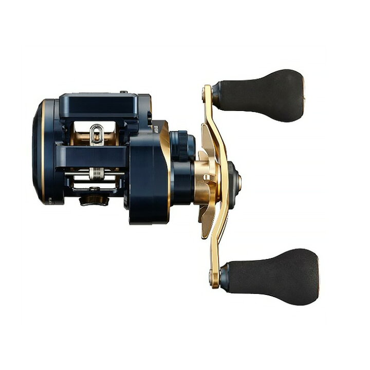 楽天市場】ダイワ(Daiwa) 21.ソルティガ IC 100PL-DH 【釣り 