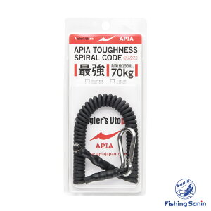 AsA(APIA)@AsA^tlXXpCR[h@yނ tBbVO vC[ tBbVObv Dނ d[ [ ^tlXR[h K胍[v JriR[h h~R[h