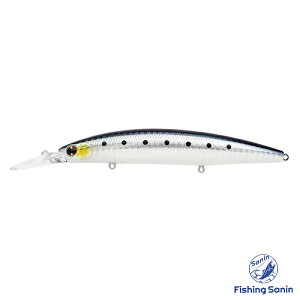 y2025NVFǉz_C(Daiwa)@VACVCi[Z ZbgAbp[ 125S-DR@yނ tBbVO V[oX V[oXA[ qXYL q  VLO~m[ Or~m