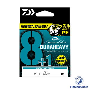 _C(Daiwa)@UVFG_X fwr[×8+1+Si3@yނ tBbVO GMO eBbv {[gGMO CJ^ PEC PE C 8{Q 8{ 8uCh _C G_X 