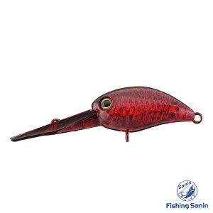 eB(TIMON)@pjN´DDR@yނ tBbVO GAgEg gEg Ǘނ ǒނ NNxCg NN vO A[ WbJ eB pjNDDR _bVz