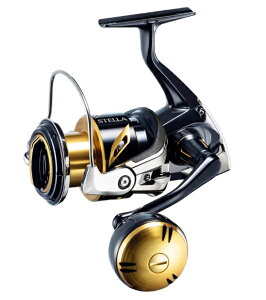 �X�e�� SW 5000XG