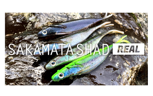 fvXidepsjTJ}^Vbh A m\g 5C`