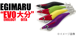 u[f@GM} EVO 啪 2.5S