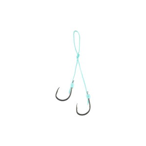 _C(Daiwa) gւtbN SS i