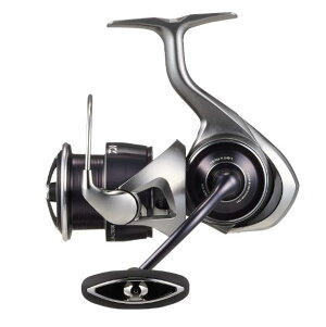 ダイワ(Daiwa) 25CALDIA LT4000-C