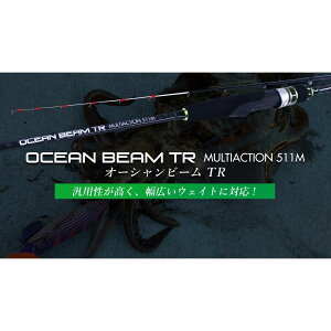 �N���C�W�[�I�[�V�����icrazy-ocean�j�I�[�V�����r�[��TR �}���`�A�N�V���� OBTR-511M