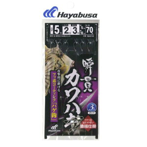 nuT(Hayabusa)@SD216 uуJnM  nQb 3{b2Zbg