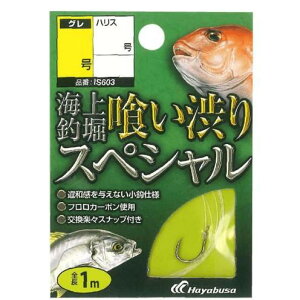 nuT(Hayabusa) IS603Cޖx t aXyV