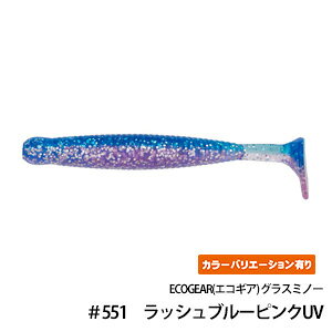 ECOGEAR(�G�R�M�A) �O���X�~�m�[S