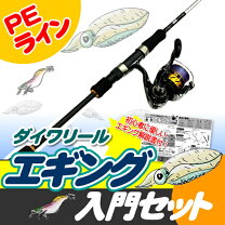 楽天市場】エギング セット ダイワの通販