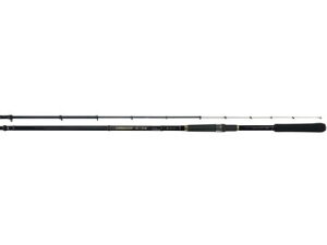 FV(jbV) XvKCޖxiUojH 3.6m