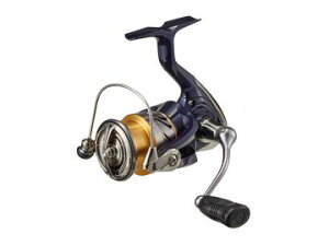 _C(Daiwa) 20 NXg LT2500