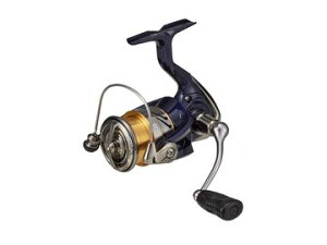 _C(Daiwa) 20 NXg LT2500S